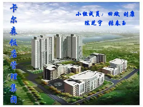 卡尔森酒店集团