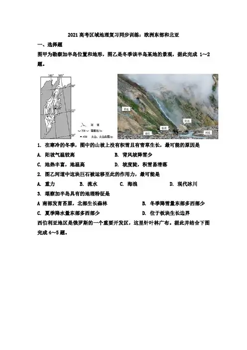 2021年高考区域地理复习同步训练：欧洲东部和北亚