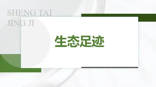3.2.13.生态足迹