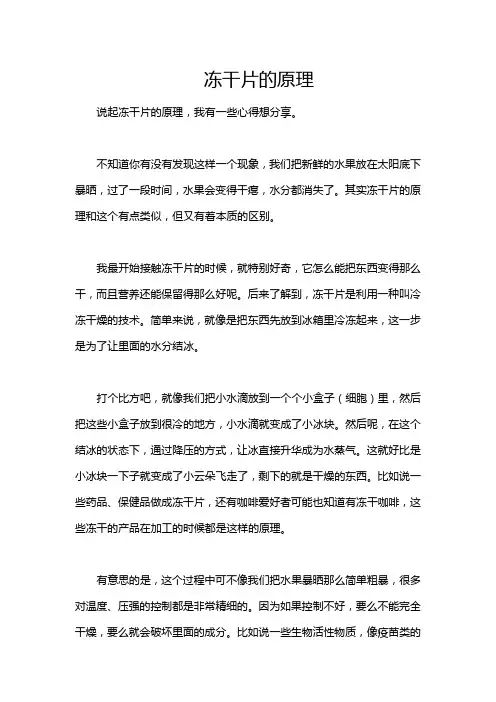 冻干片的原理