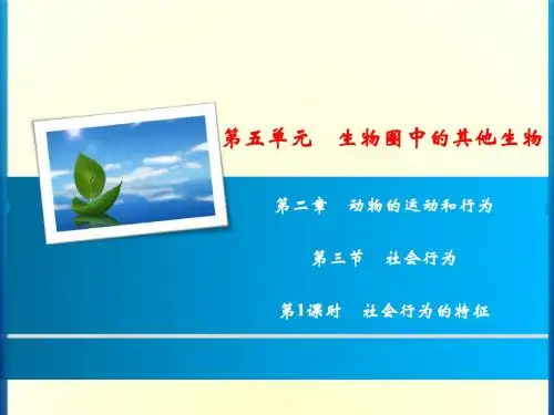 第5单元 第2章 第3节  第1课时 社会行为的特征