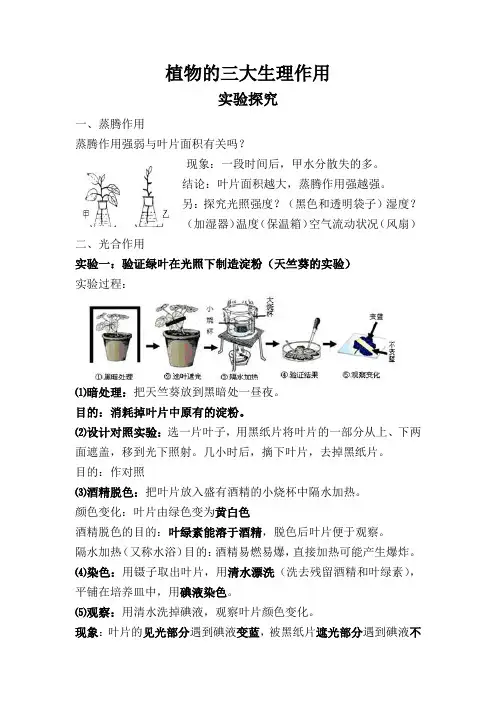 初中生物绿色植物的三大生理作用知识汇总