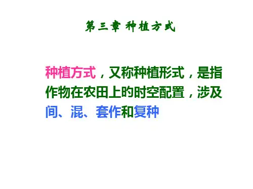 种植方式间混套作HU