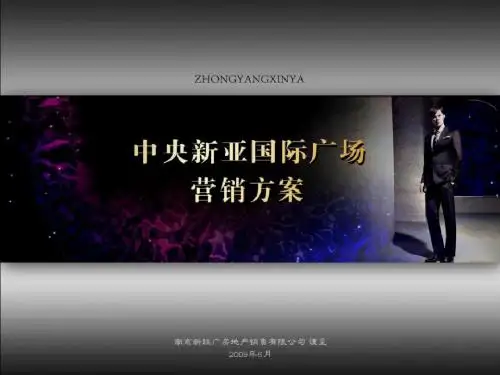 2009江苏淮安中央商场项目全案营销策划竞标稿