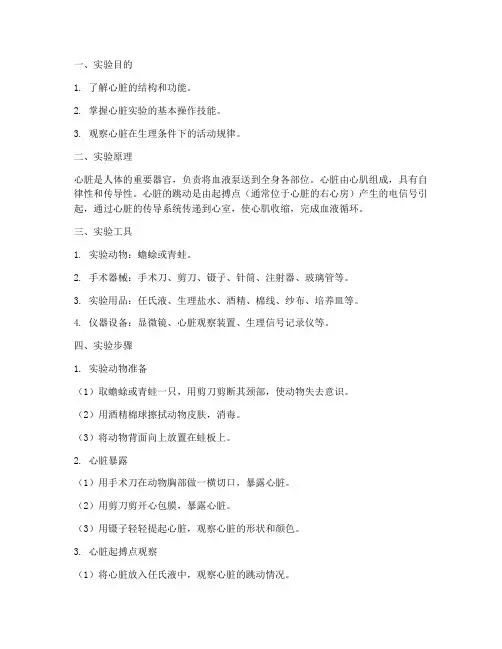 心脏实验报告的实训步骤
