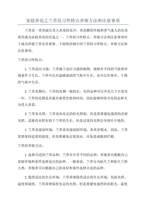 家庭养花之兰草花习性特点养殖方法和注意事项