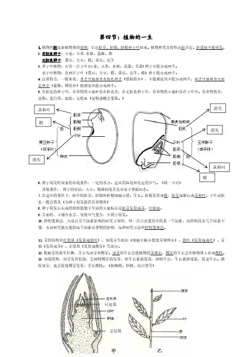 人教版部编版七下科学第一章第四节《植物的一生》