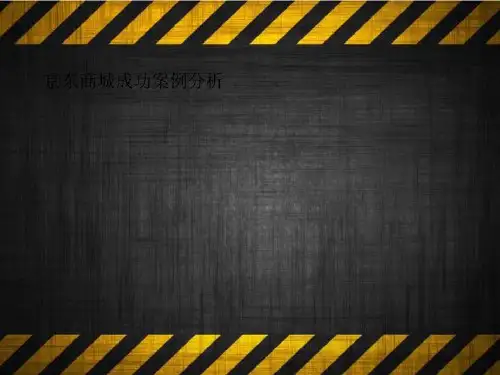 京东商城成功案例分析