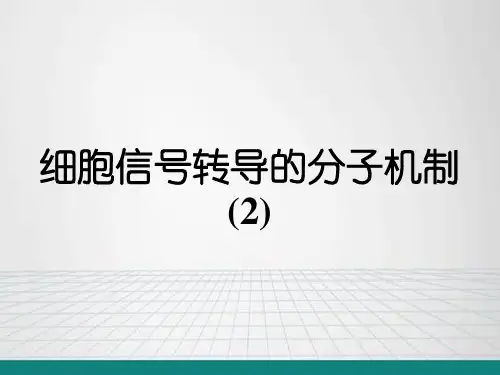 细胞信号转导的分子机制