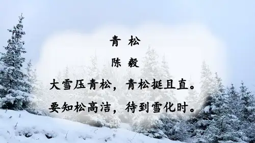 七年级语文上册15 梅岭三章【考点精讲版】课件