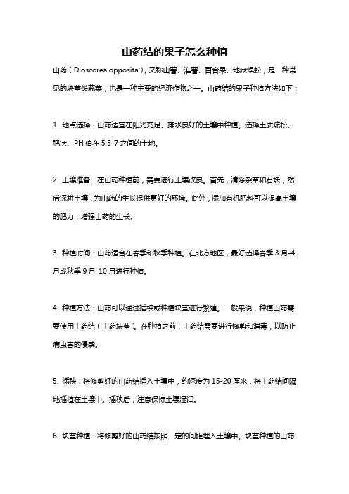 山药结的果子怎么种植