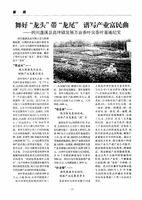 舞好“龙头”带“龙尾”谱写产业富民曲——四川蓬溪县高坪镇发展万亩香叶尖茶叶基地纪实