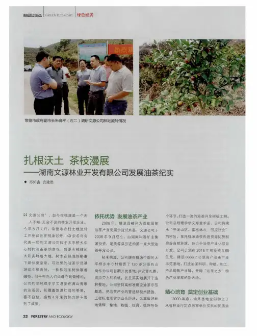 扎根沃土 茶枝漫展——湖南文源林业开发有限公司发展油茶纪实