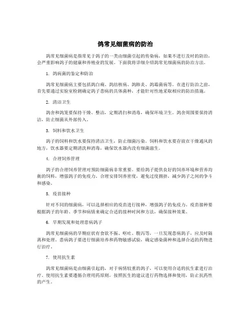 鸽常见细菌病的防治
