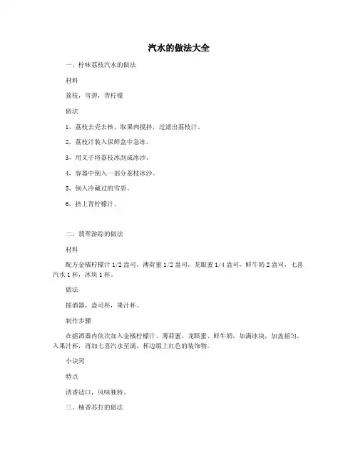 汽水的做法大全