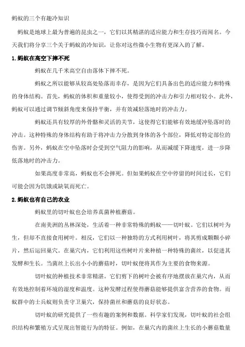 蚂蚁的三个有趣冷知识