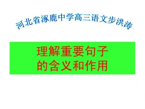 理解重要句子的含义和作用