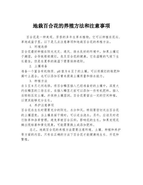 地栽百合花的养殖方法和注意事项