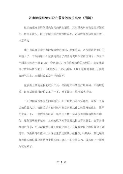 多肉植物繁殖知识之景天的砍头繁殖图解word资料4页