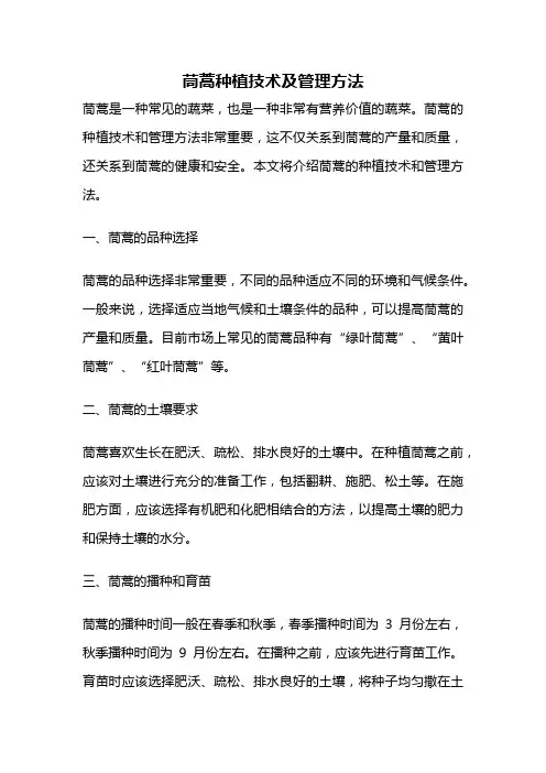 茼蒿种植技术及管理方法