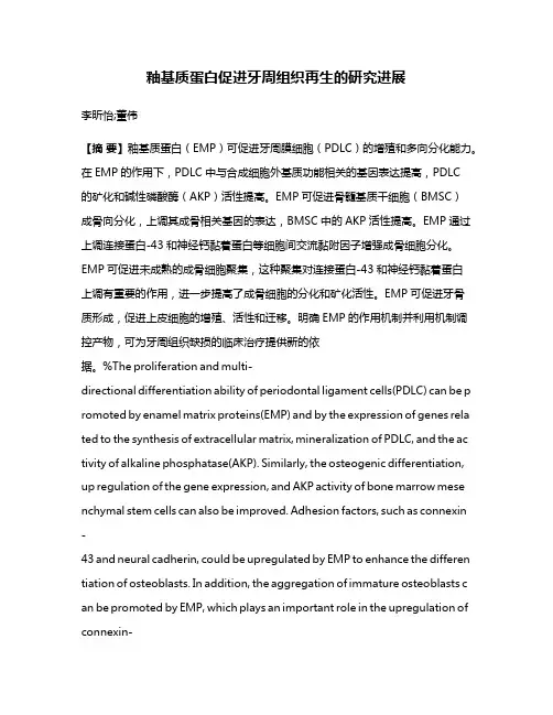 釉基质蛋白促进牙周组织再生的研究进展