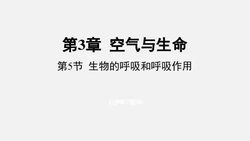 浙教版八年级科学下册课件 第三章  第5节 生物的呼吸和呼吸作用