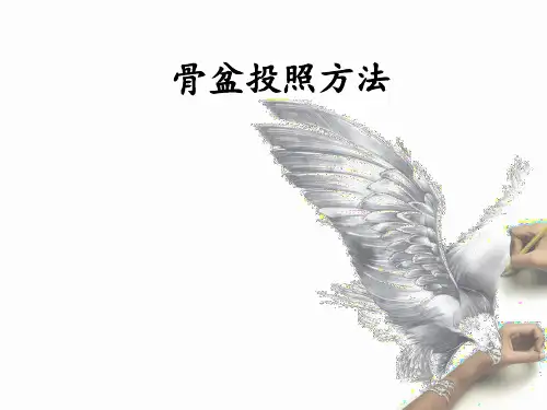 骨盆位投照方法