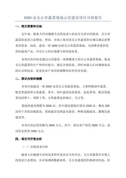 3000亩无公害蔬菜基地示范建设项目可研报告