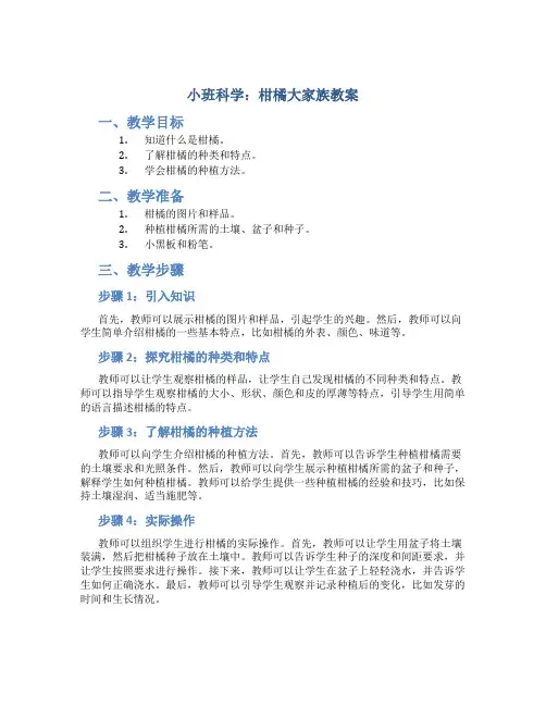 小班科学：柑橘大家族教案
