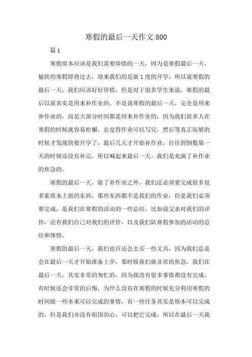 寒假的最后一天作文800