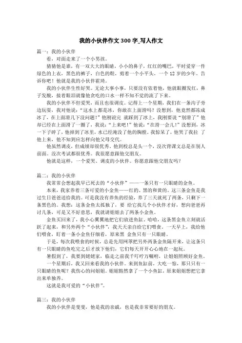 我的小伙伴作文300字_写人作文