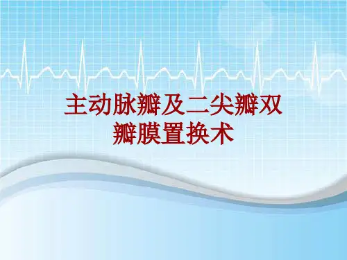 手术讲解模板：主动脉瓣及二尖瓣双瓣膜置换术