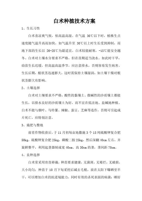 白术种植技术方案