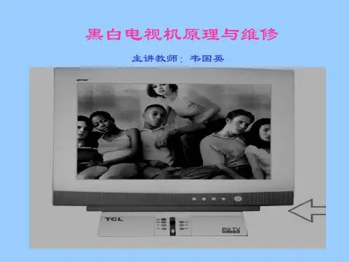 黑白电视机原理与维修(ppt 69)