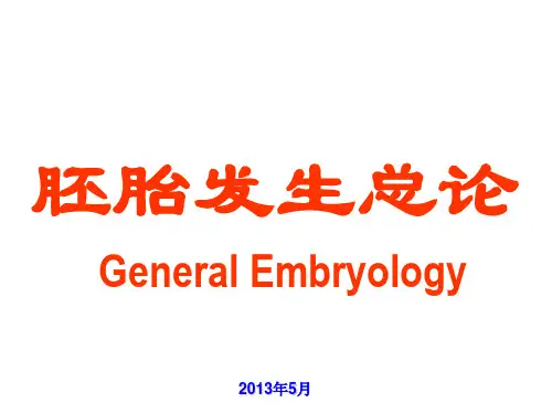 组织学与胚胎学胚胎发生总论