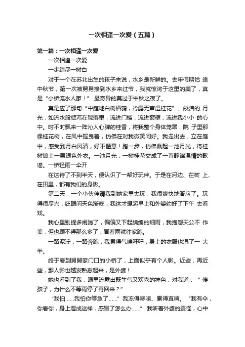 一次相逢一次爱（五篇）