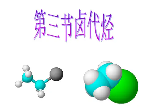 卤代烃PPT课件
