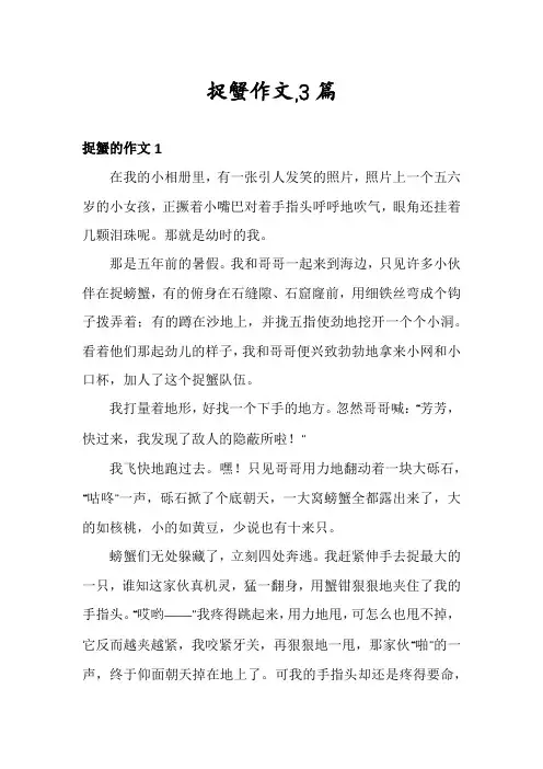 捉蟹作文,3篇