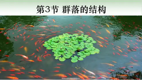 《群落的结构》人教版完美PPT