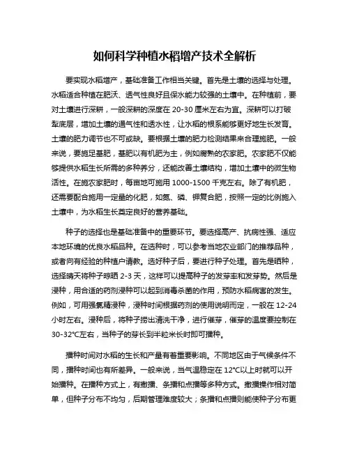 如何科学种植水稻增产技术全解析