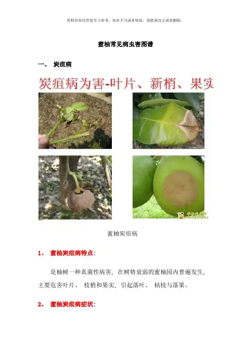 柚常见病虫害图谱及防治技术样本