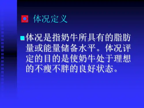 奶牛体况评分