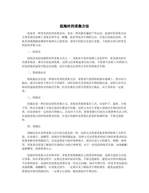赶海时的采集方法