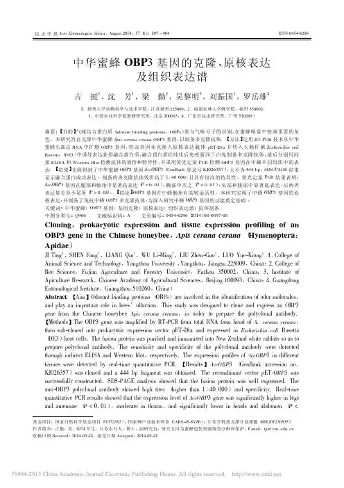 中华蜜蜂OBP3基因的克隆_原核表达及组织表达谱_吉挺
