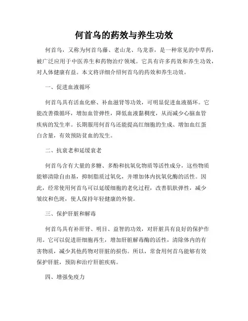 何首乌的药效与养生功效