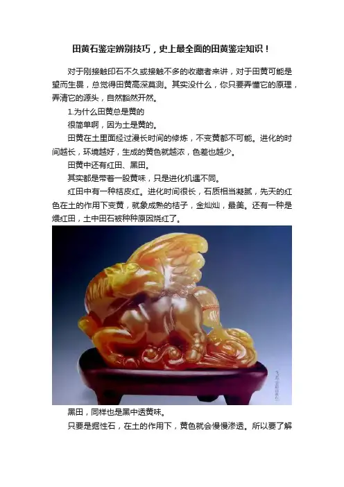 田黄石鉴定辨别技巧，史上最全面的田黄鉴定知识！