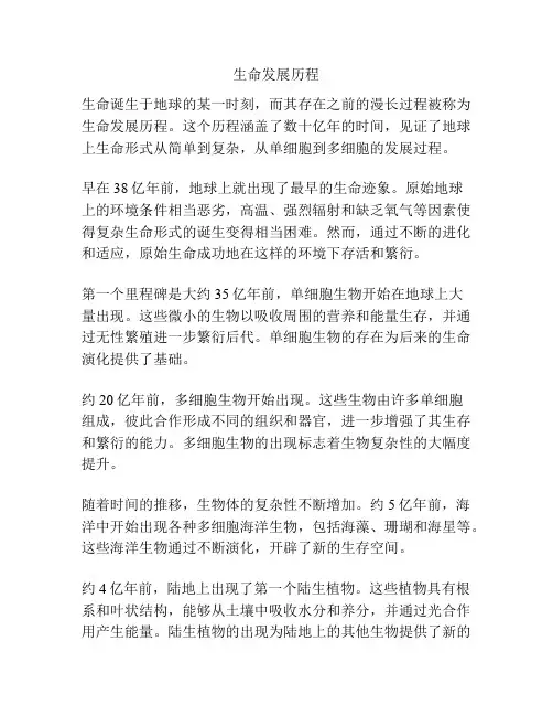 生命发展历程