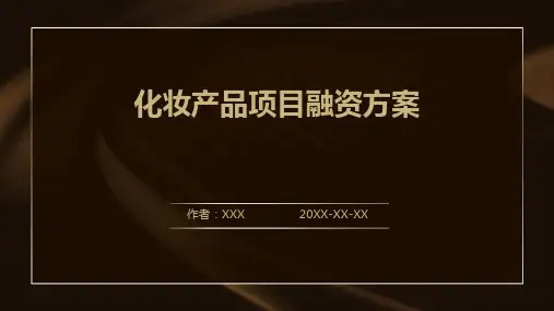 化妆产品项目融资方案