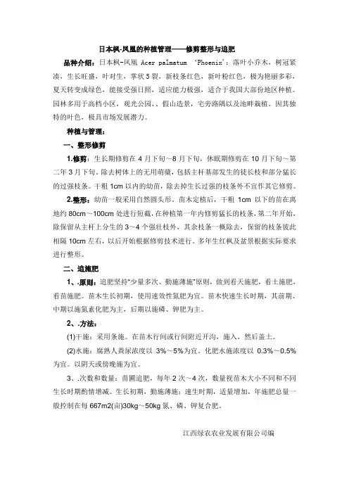 日本枫-凤凰的种植管理——修剪整形与追肥