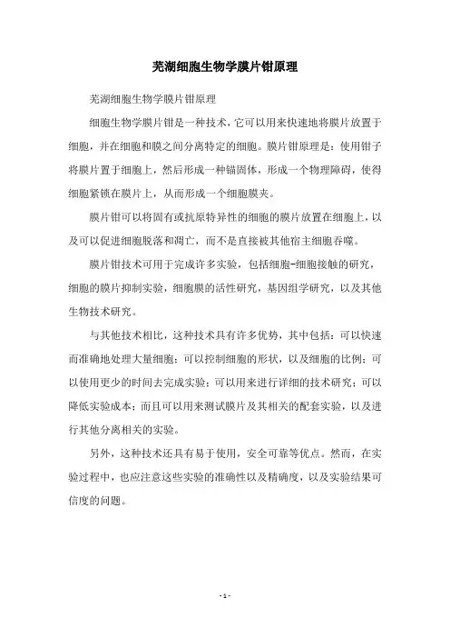 芜湖细胞生物学膜片钳原理